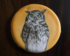 Owl cookie